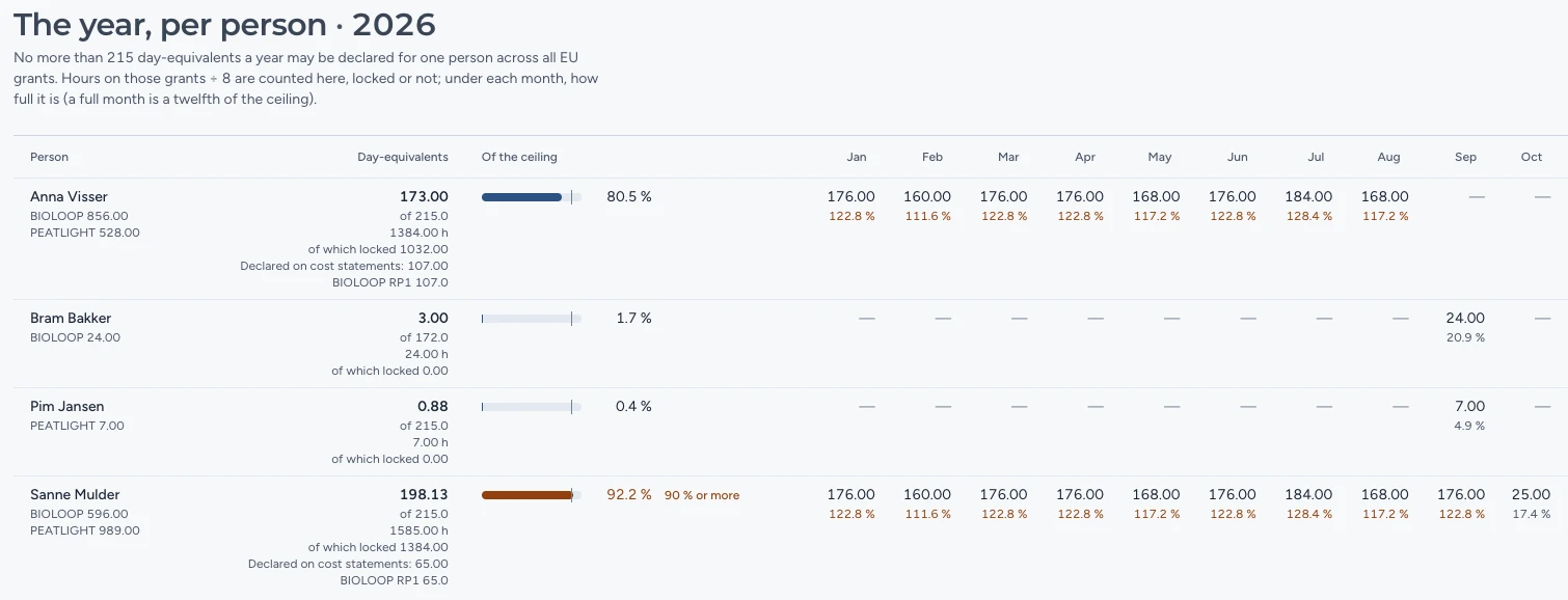 The year per person: day-equivalents against the ceiling, month by month